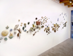 Installation view at Rhona Hoffman Gallery, Chris Garofalo, zoophyta, 2007-2008