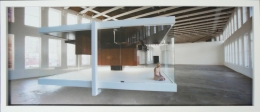 Gravity is a Force to be Reckoned With (Untitled Repose), 2009