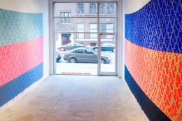 Installation view at Rhona Hoffman Gallery, Judy Ledgerwood, Chromatic Patterns for Chicago and Blob Paintings, 2011