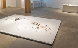 Installation view at Rhona Hoffman Gallery, Anne Wilson, Rewinds, 2011