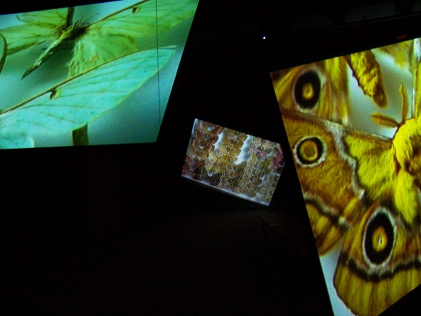 Kutlug Ataman, Stefan's Room, 2004, Five screen video installation with variable dimension